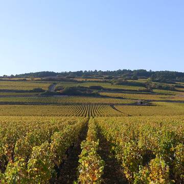 Château de Semur-en-Auxois